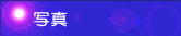 ˉzF̏Љ